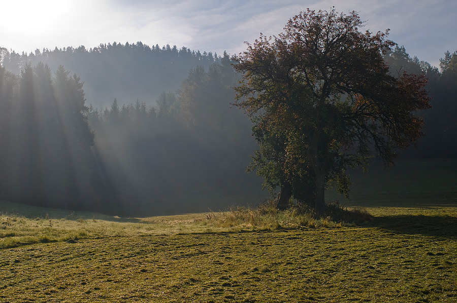 Guten Morgen!