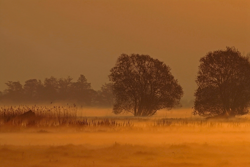 Sonnenaufgang II