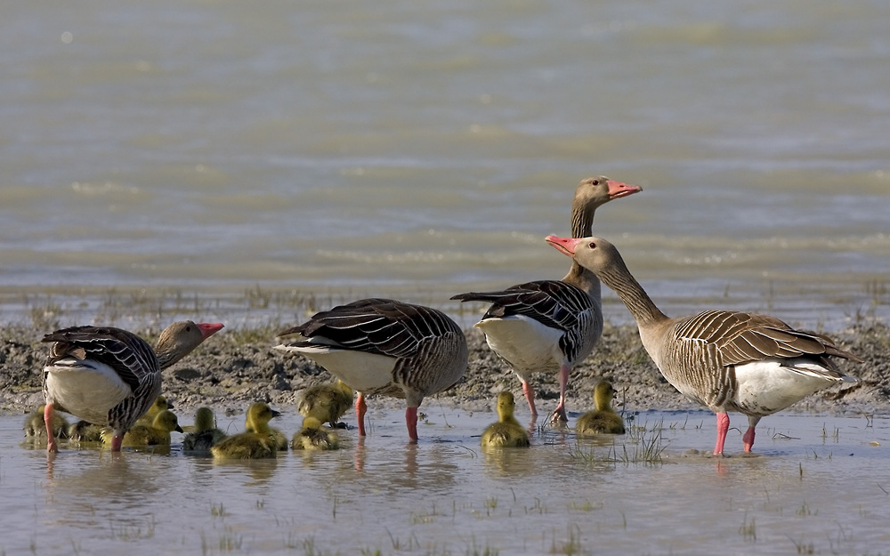 Familienausflug