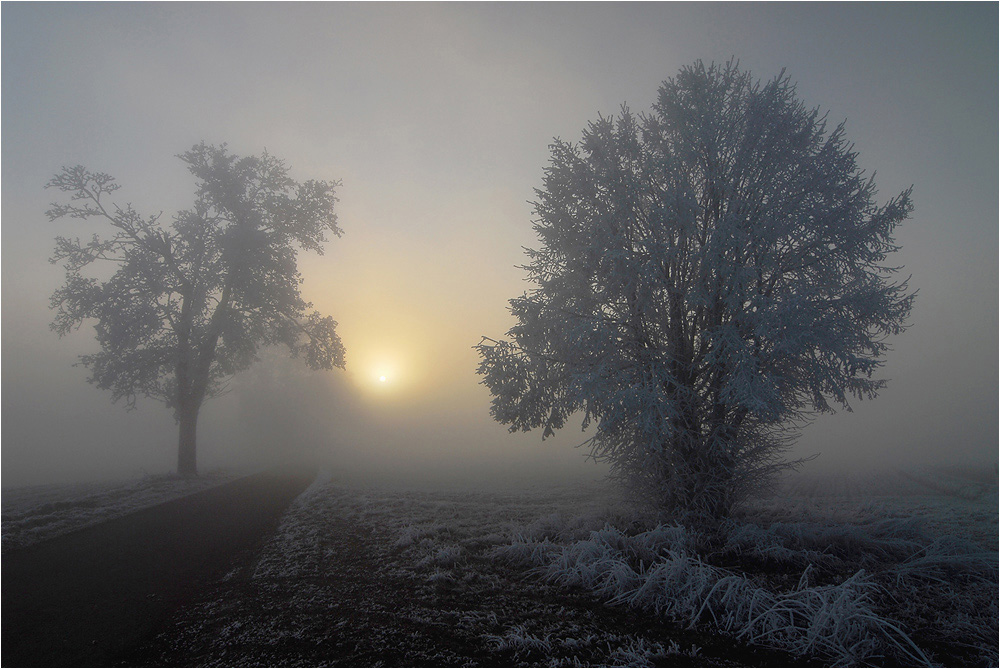 Sonne, Raureif und Nebel