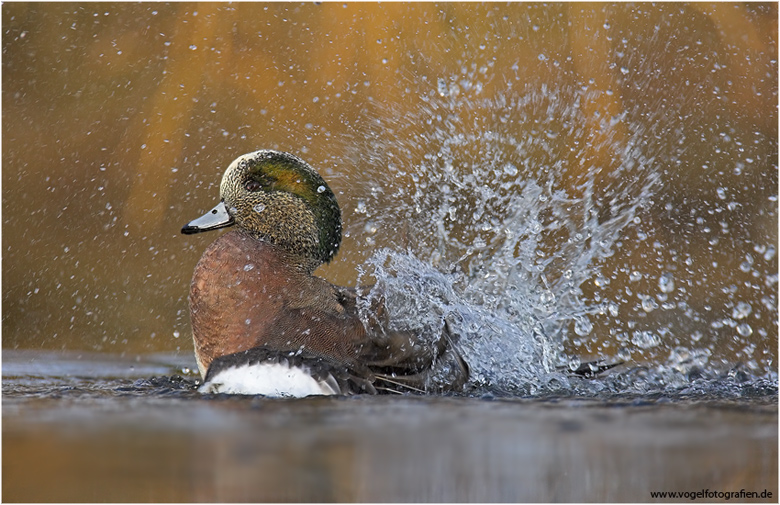 und action ;-)