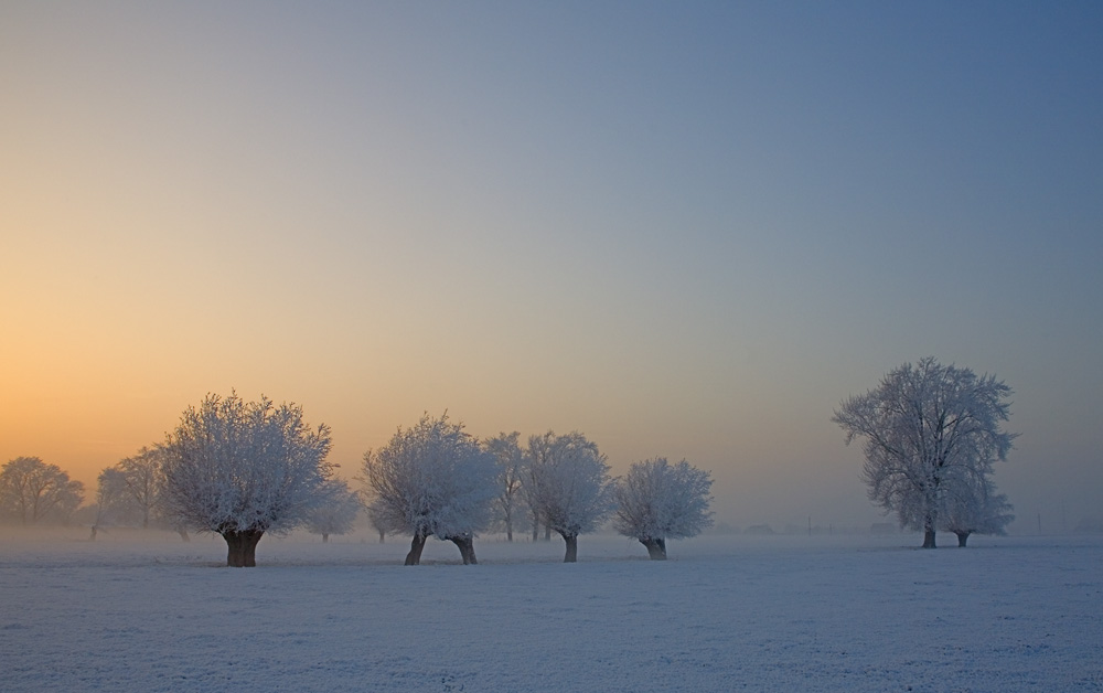 Winter am Niederrhein....