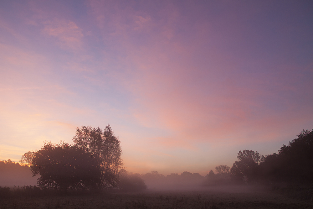 Der Nebel