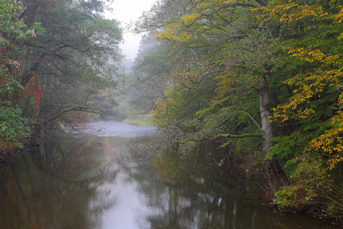 Herbstimpression von der Ahr