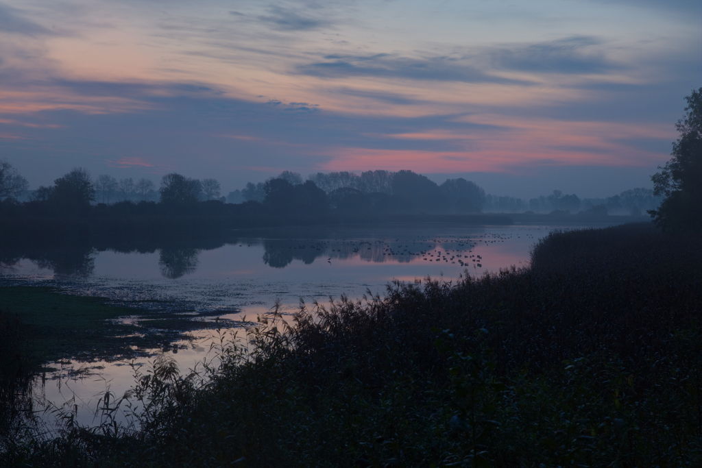 Herbstmorgen