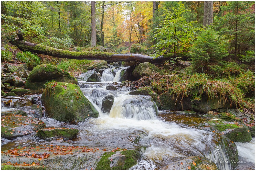 Herbstliches Ilsetal