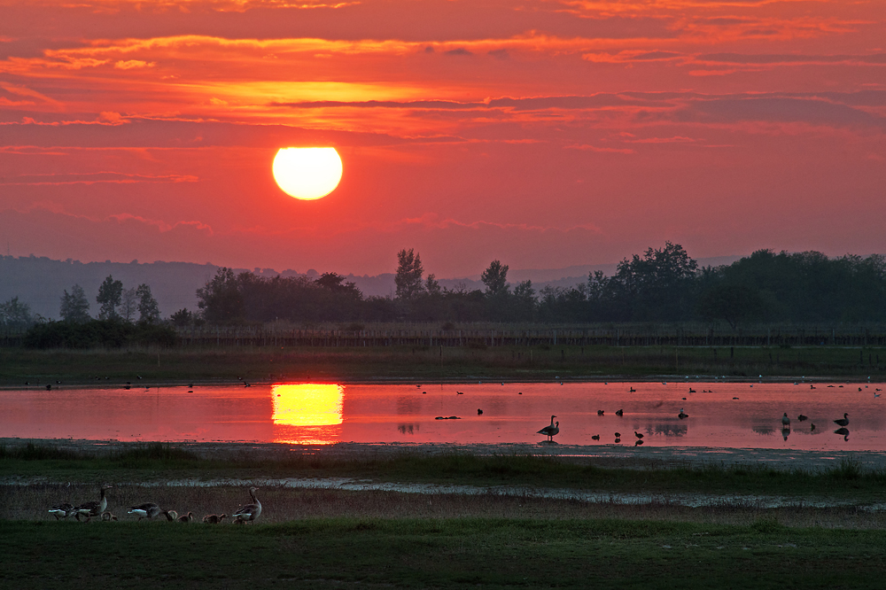 Abendspaziergang