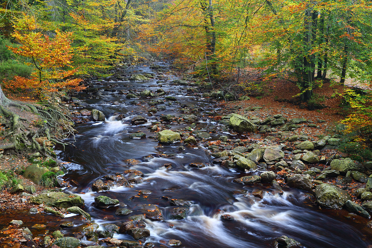 Herbst an der Hill