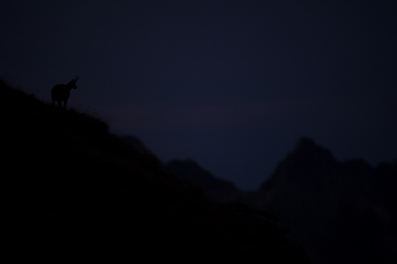 Abenddämmerung