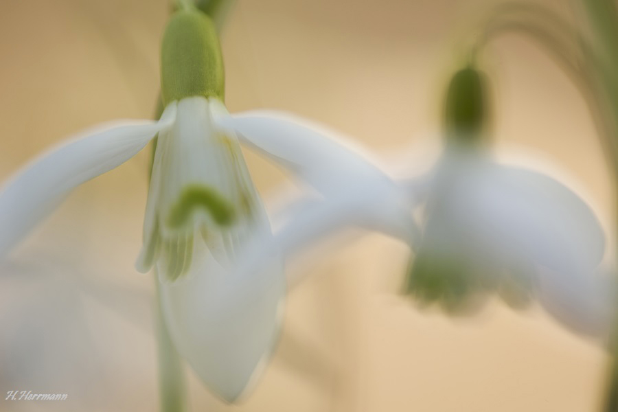Lange her, noch lange hin...