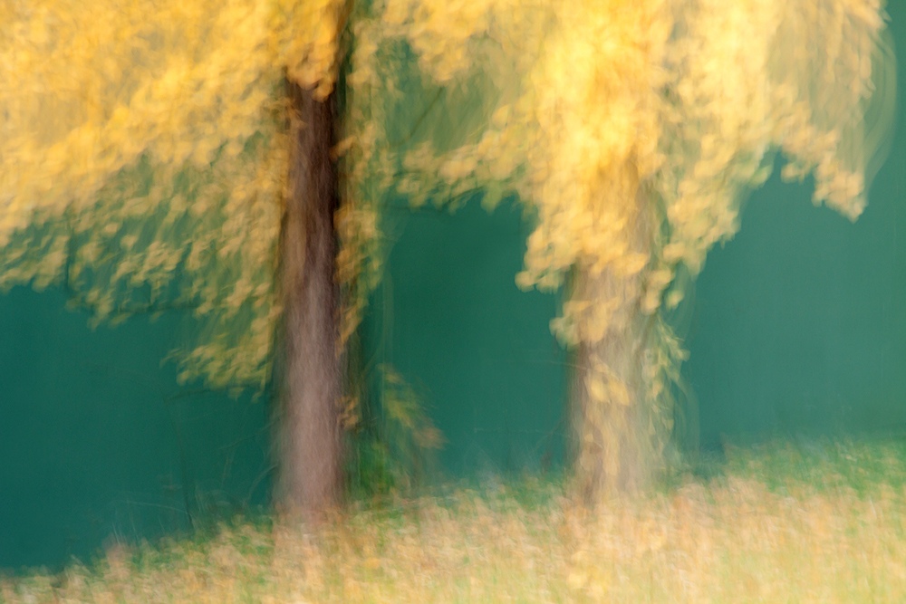 Fette Herbstfarben