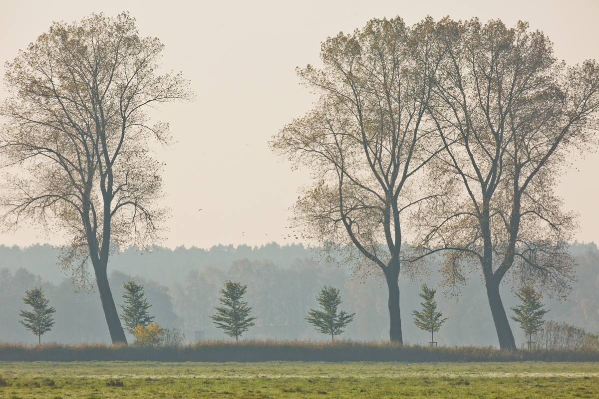 Herbstliche Lewitz: 25 Jahre nach Mauerfall...