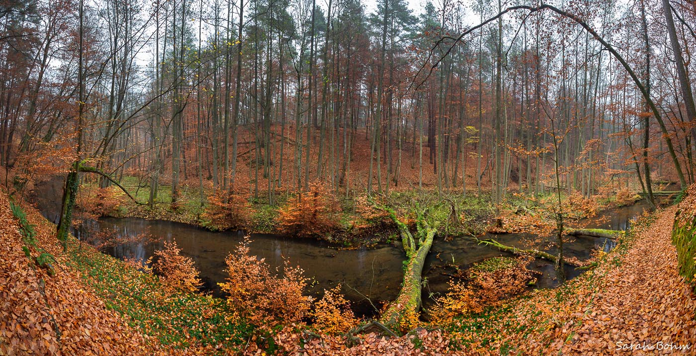 Herbst im Schlaubetal