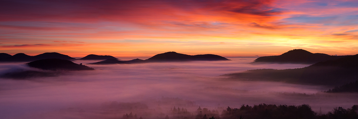 Guten Morgen Pfälzerwald