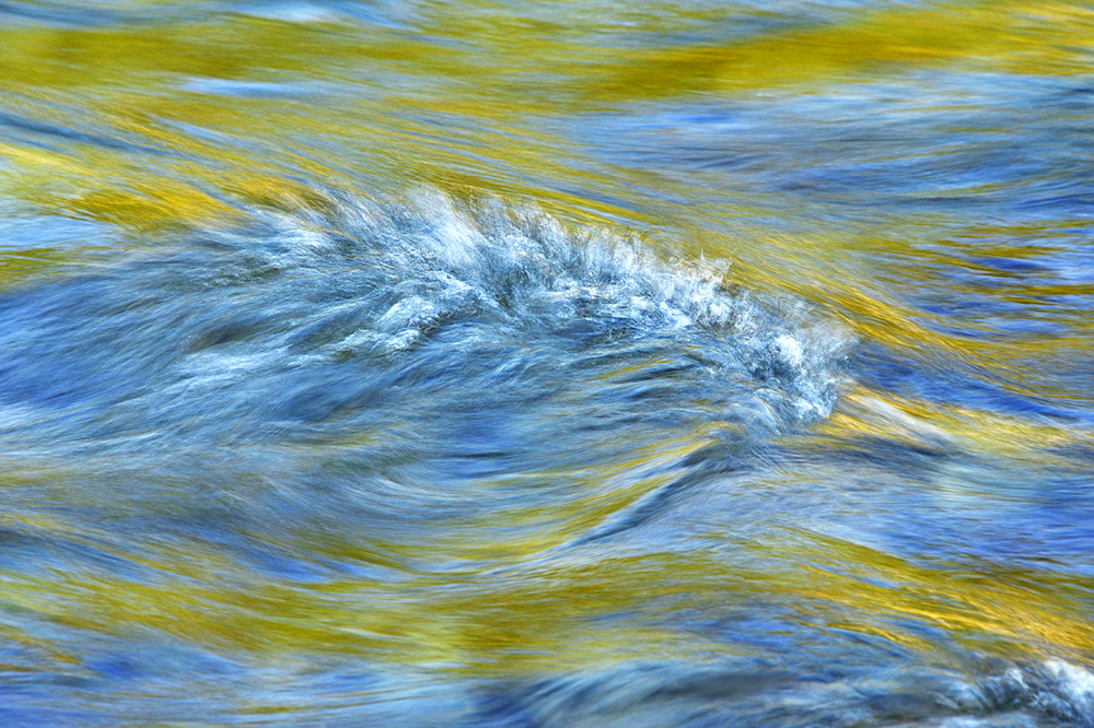 Kleiner Wasserdrache