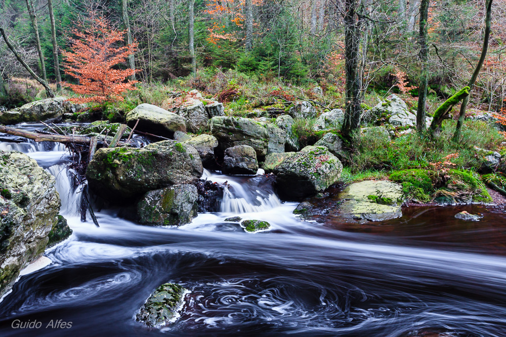 Spätherbst in den Ardennen