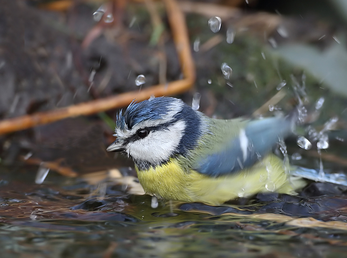 "...und Freitags wird gebadet!"...hieß es einstmals, ...