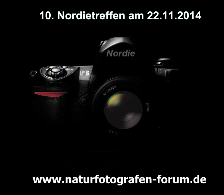 10. Nordietrefen in Hamburg am 22.11.2014