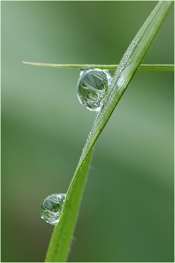 *Wasserwaage*
