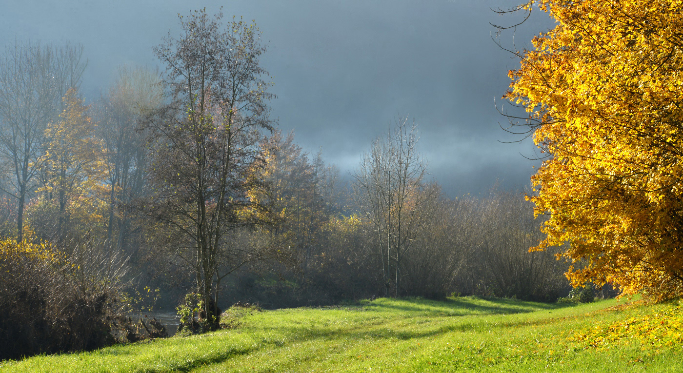 Letztes Herbstbild