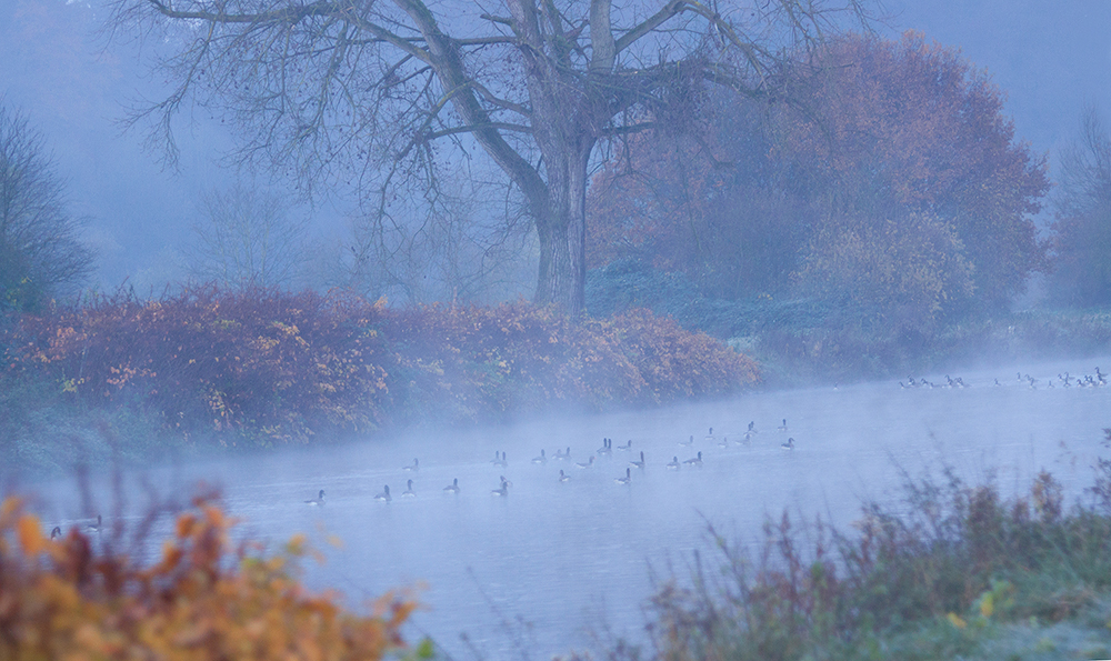 Ein Herbstmorgen an der Ruhr I