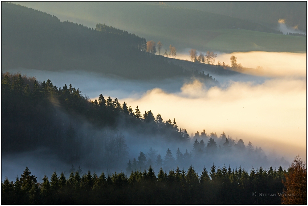 Nebel über Wittgensteins Wäldern