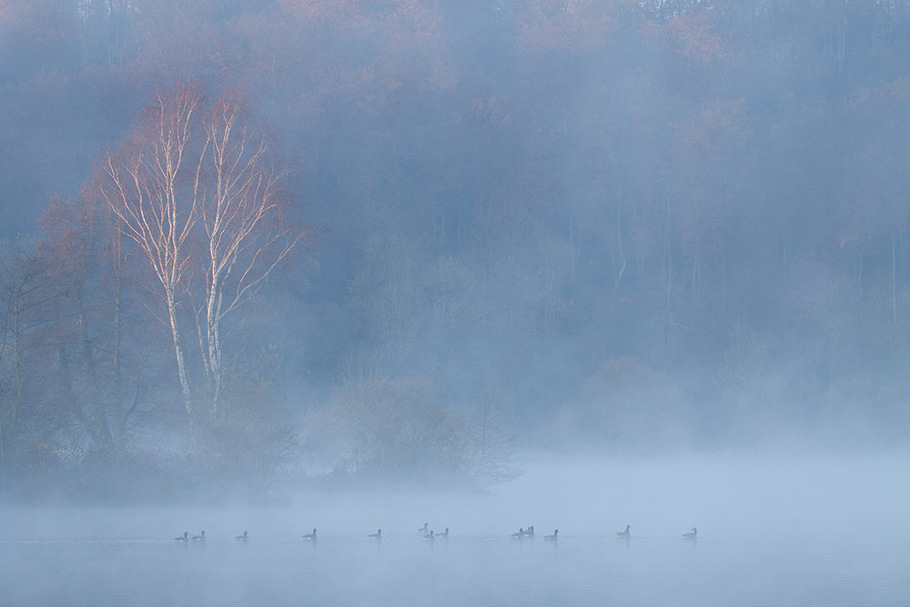 Herbstmorgen an der Ruhr II