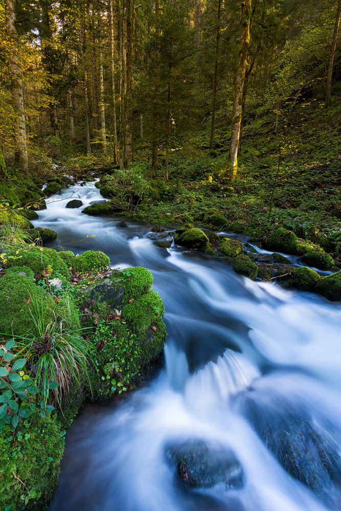 Wildwasser