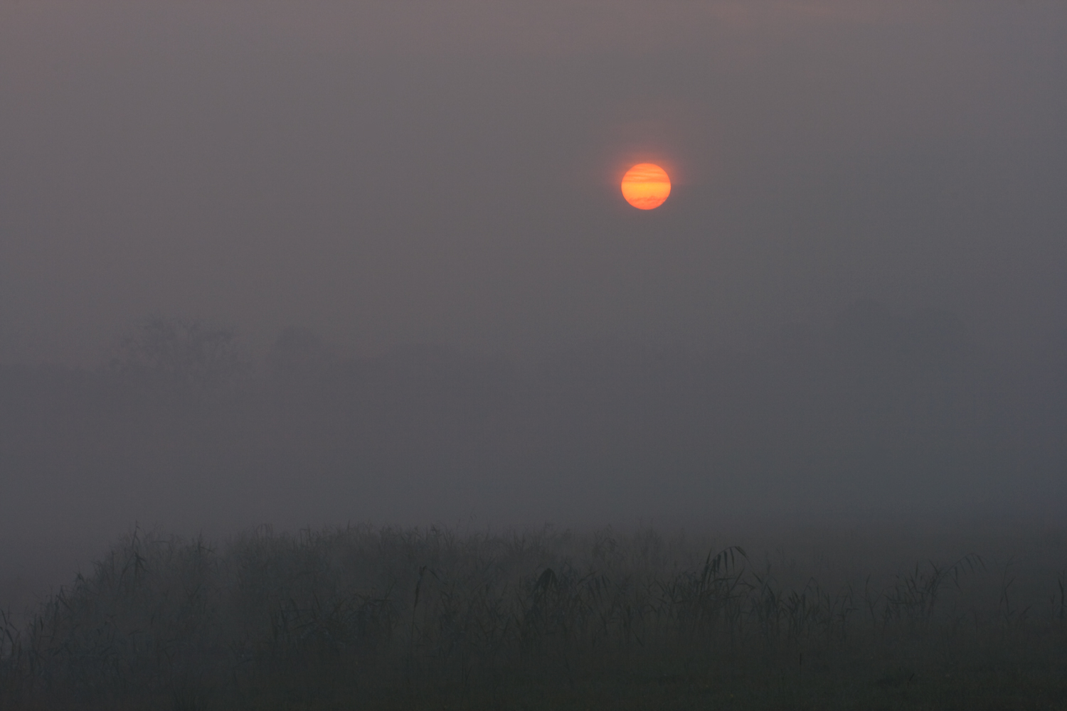 Sonnenaufgang oder die Waschküche....