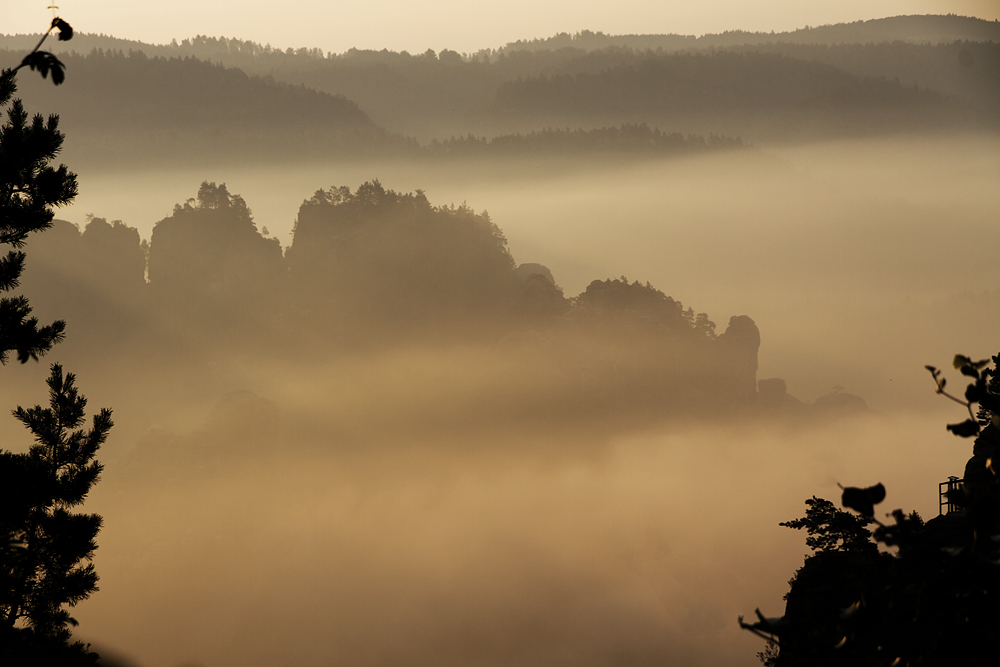 Feldsteine am Morgen