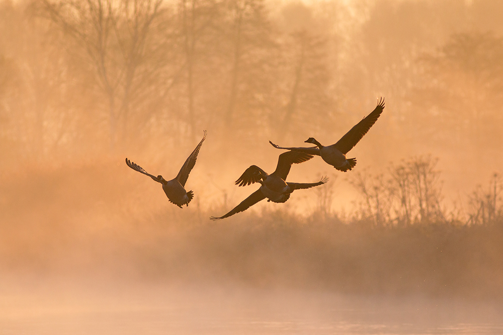 Überflug