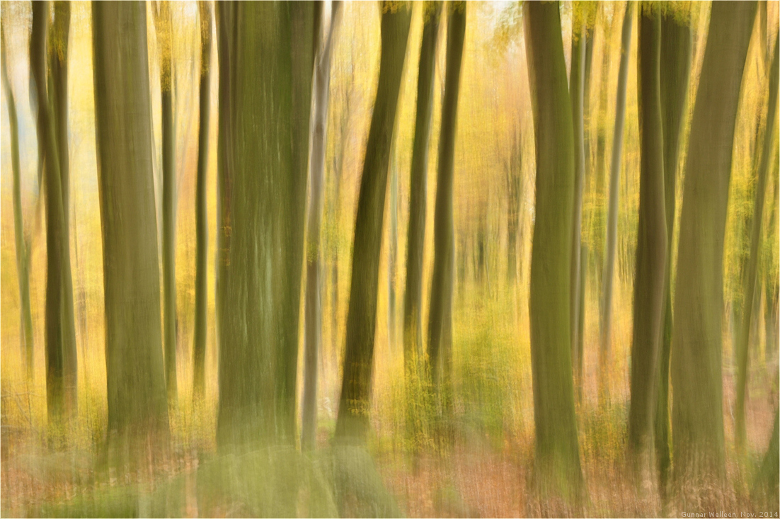 Oktoberwald