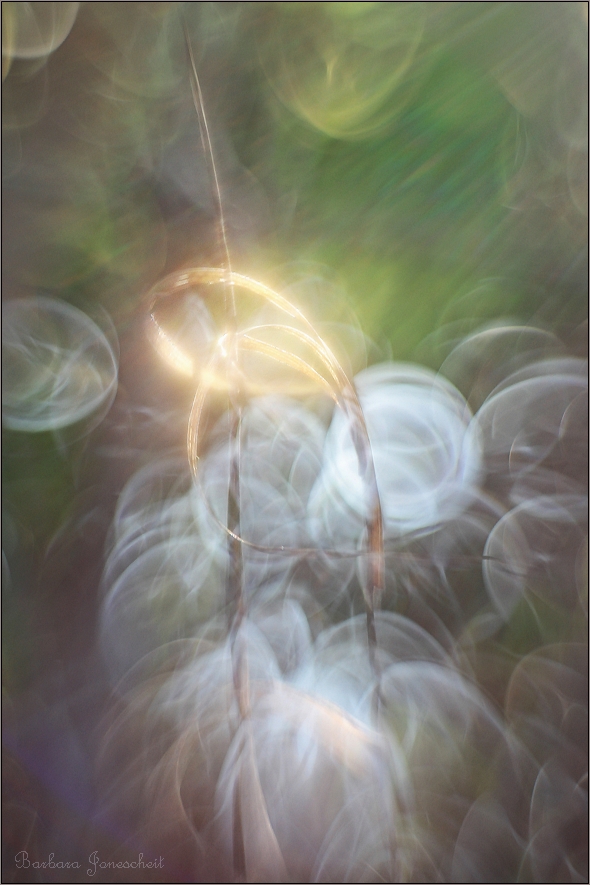 mehr Licht!