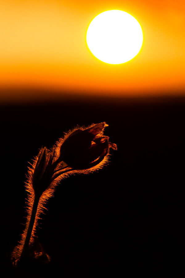 im letzten Licht