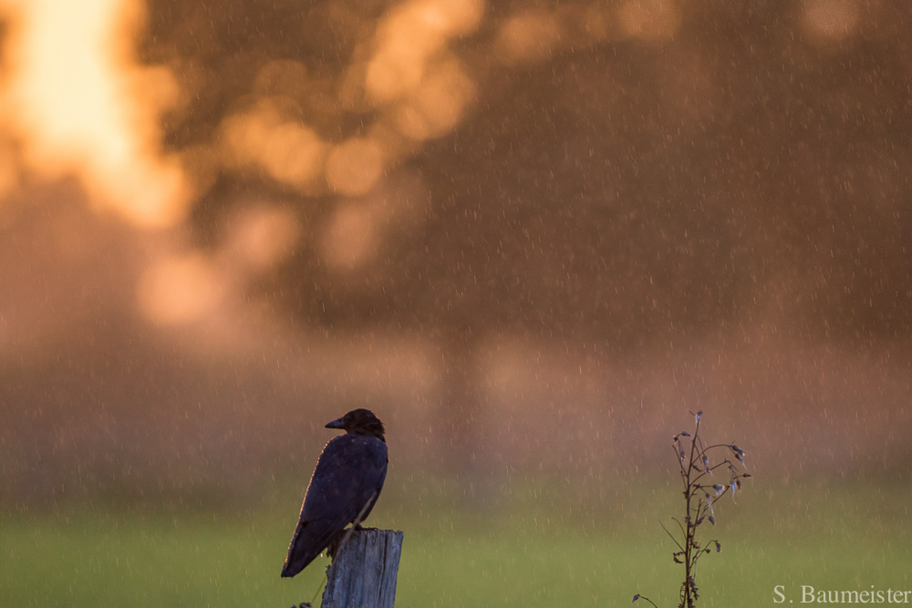 Schietwetter