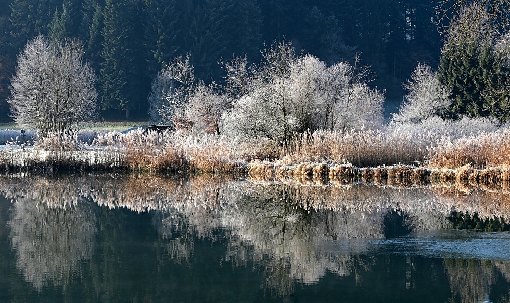 Weiherlandschaft mit Raureif