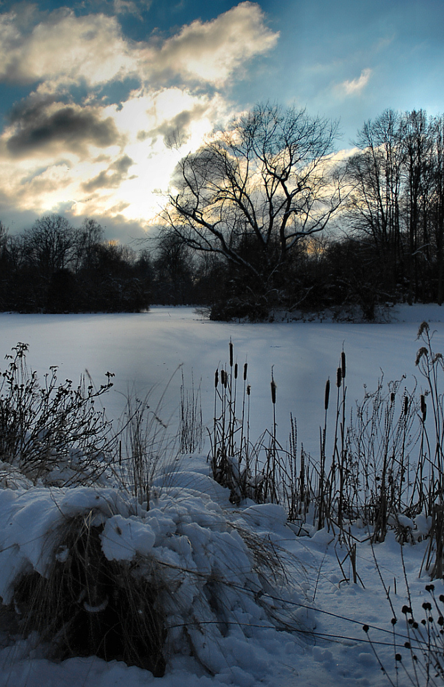 Still ruht der See