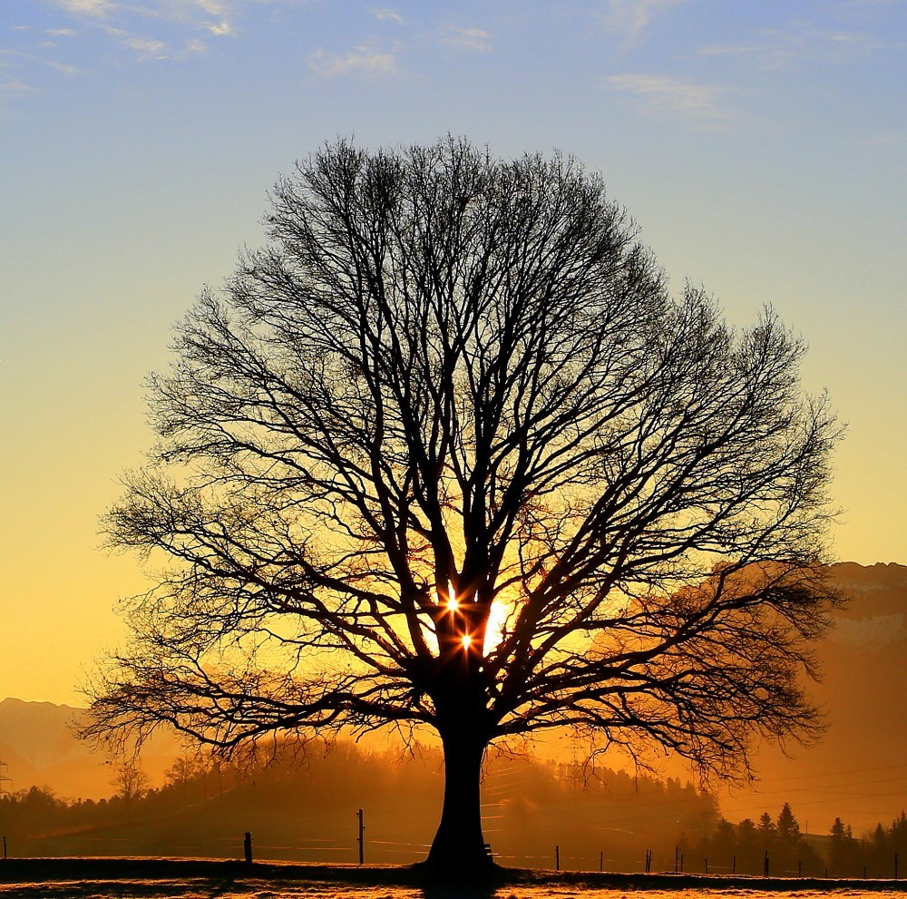 Viel Sonnenschein...