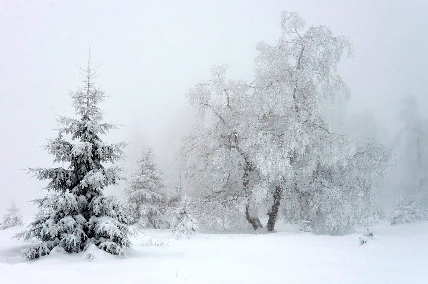 Winterlandschaft