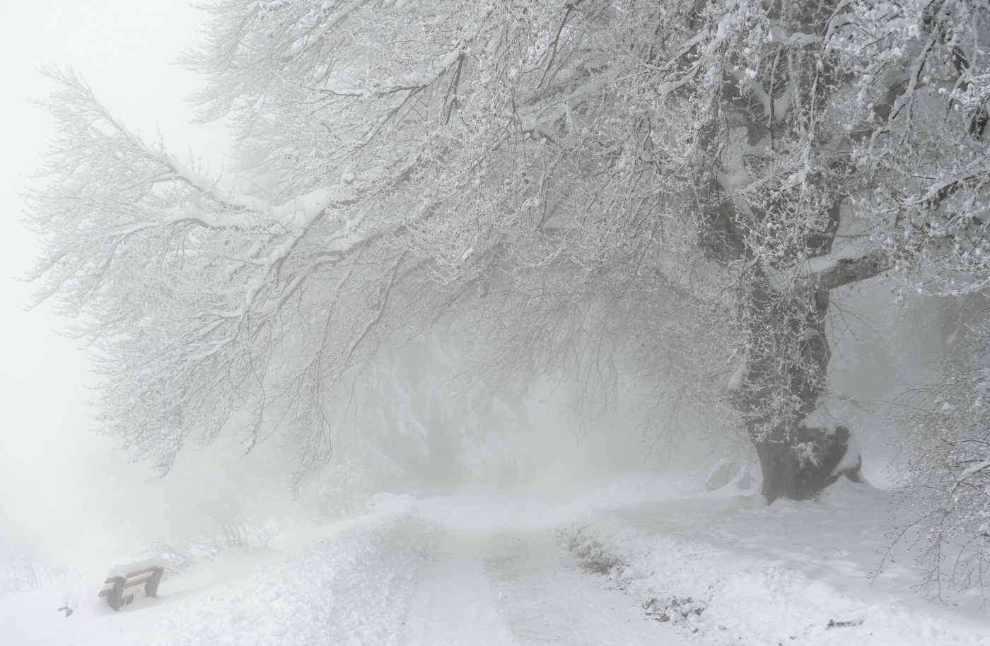 Winterspaziergang