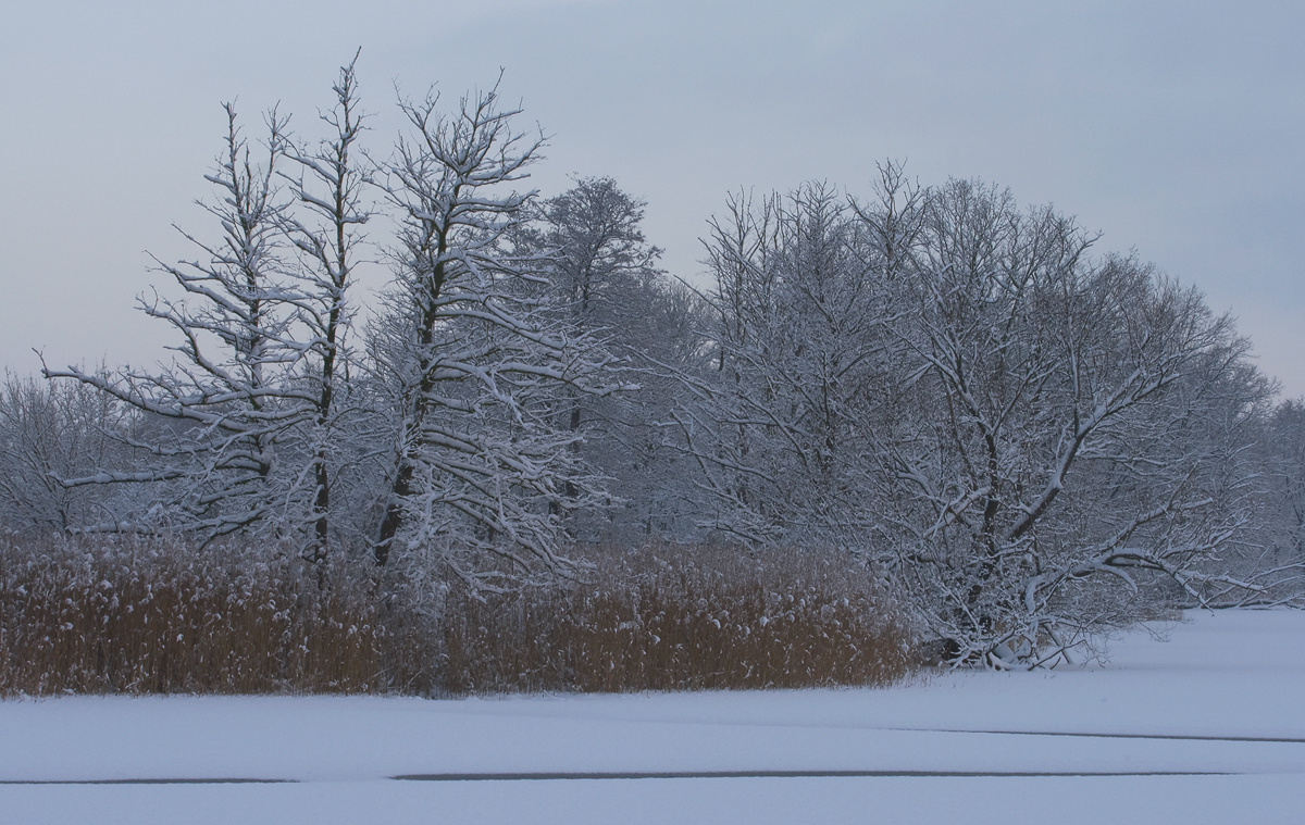 Winter am Köppchensee