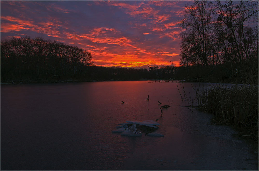 Sonnenaufgang Wien-Lobau