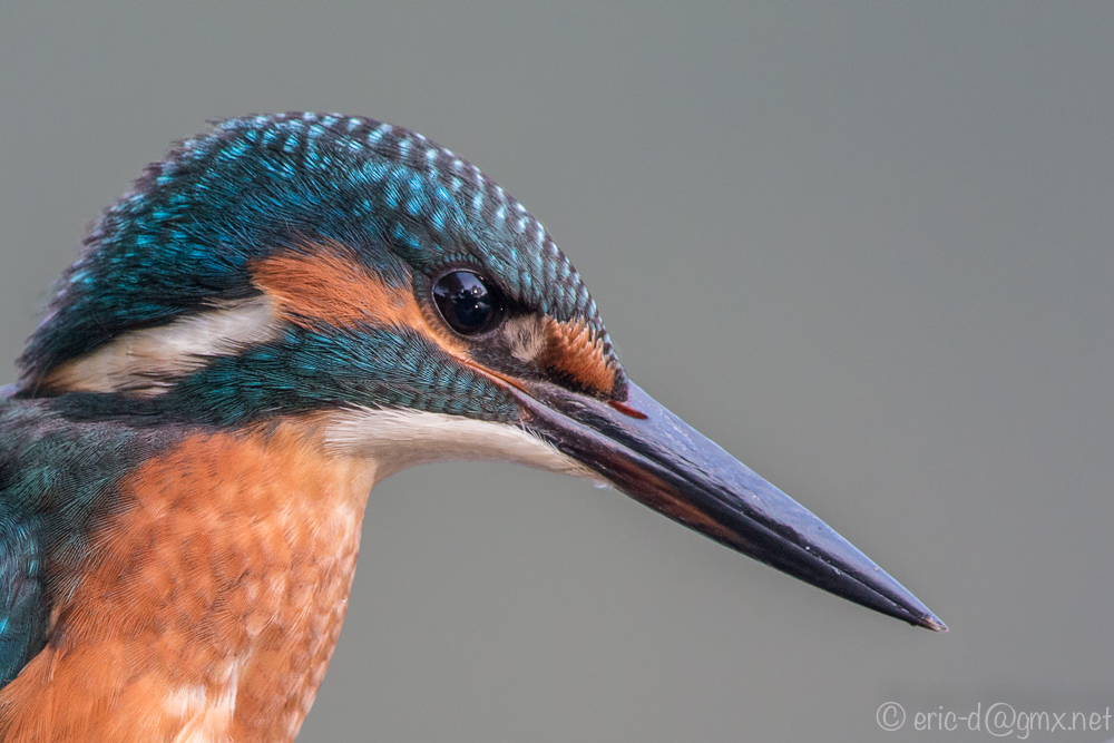 Close Up