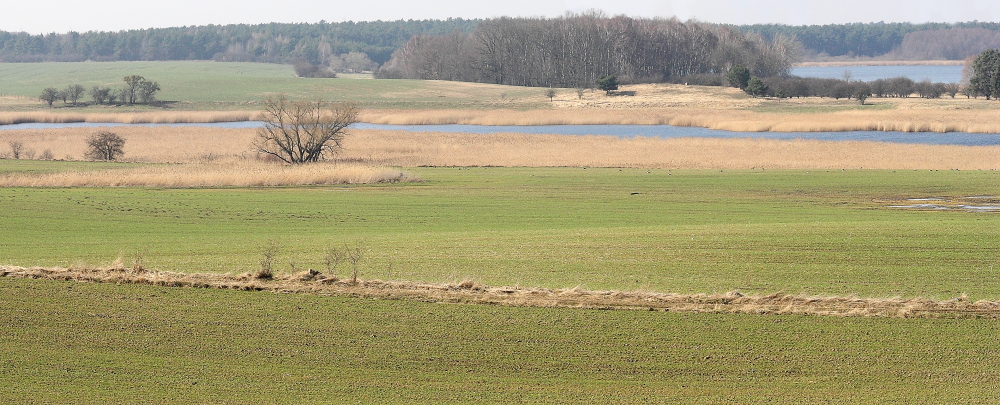 Bei sonnigem Wetter