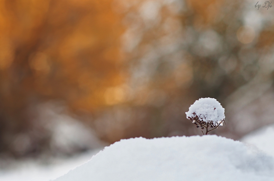 Herbstlicher Winter