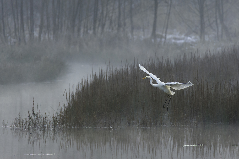 Morgens am Wasser