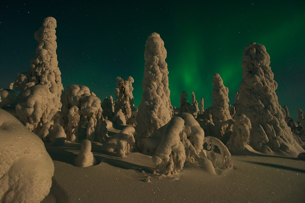 Nordlicht