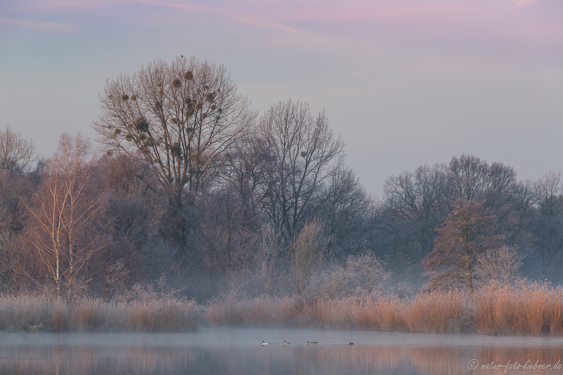 Morgenstimmung am See