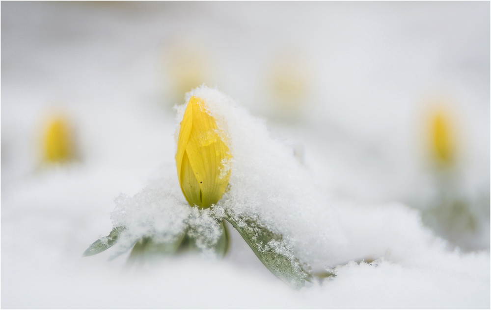 Winter bei....