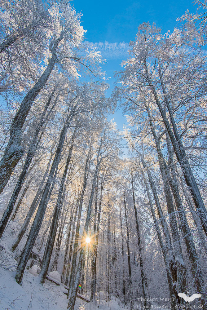 Winterstimmung